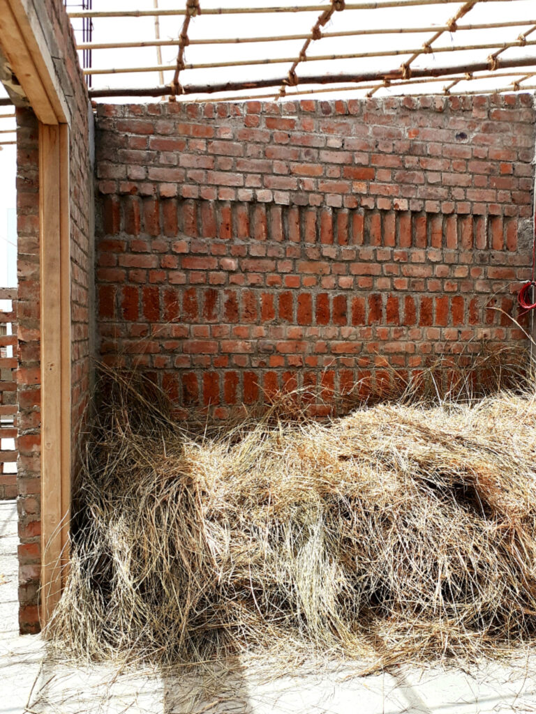 IMG_20220525_113041_287